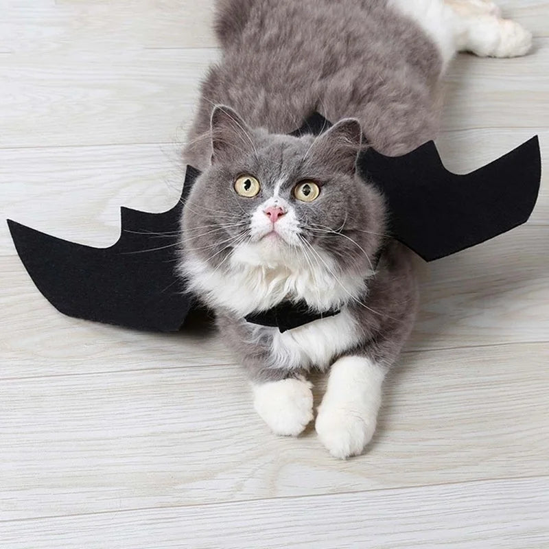 Halloween Cute Pet Clothes Black Bat Wings Harness Costume Cosplay Cat Dog Halloween Party for Pet Supplies